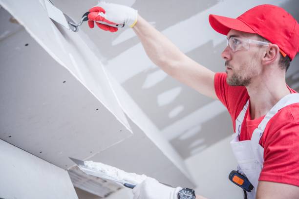 Best Trim and Molding Painting  in Douglas, AL